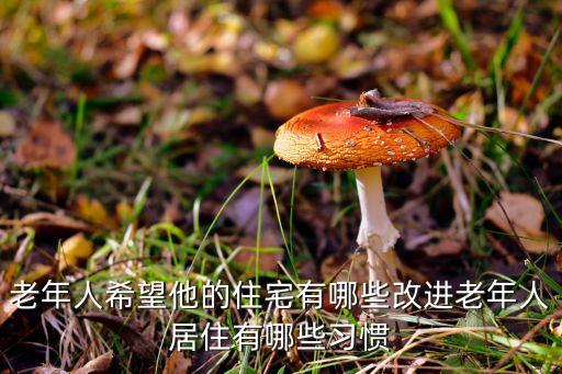 老年人希望他的住宅有哪些改進(jìn)老年人居住有哪些習(xí)慣