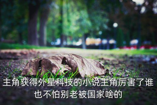 科技霸主小說，主角獲得外星科技的小說主角厲害了誰也不怕別老被國家啥的