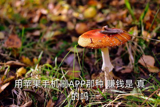 刷手機(jī)軟件賺錢可靠嗎，用蘋果手機(jī)刷APP那種 賺錢是 真的嗎