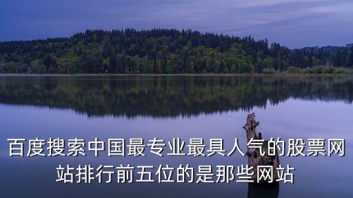 百度搜索中國(guó)最專業(yè)最具人氣的股票網(wǎng)站排行前五位的是那些網(wǎng)站