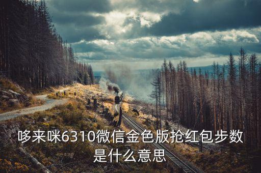 哆來咪是什么軟件，哆來咪6310微信金色版搶紅包步數(shù)是什么意思