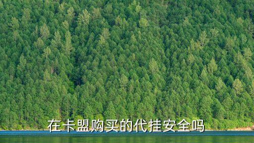 在卡盟購買的代掛安全嗎