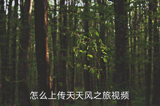 直播之開局就造人工智能，怎么上傳天天風(fēng)之旅視頻