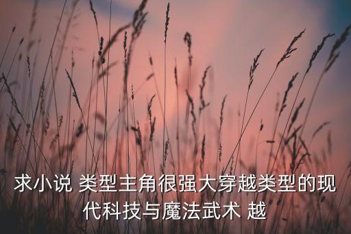 求小說(shuō) 類型主角很強(qiáng)大穿越類型的現(xiàn)代科技與魔法武術(shù) 越
