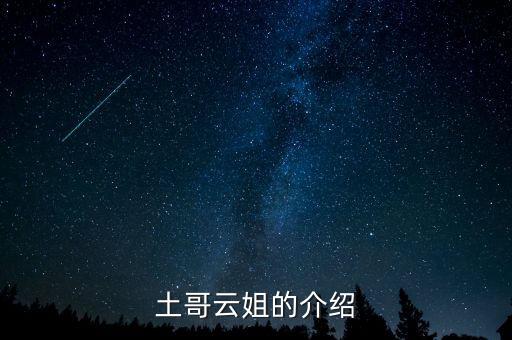 土哥云姐的介紹