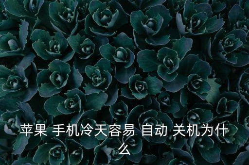 蘋果 手機(jī)冷天容易 自動(dòng) 關(guān)機(jī)為什么