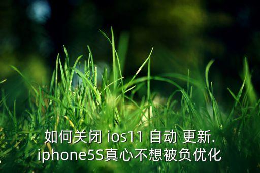 如何關閉 ios11 自動 更新.iphone5S真心不想被負優(yōu)化
