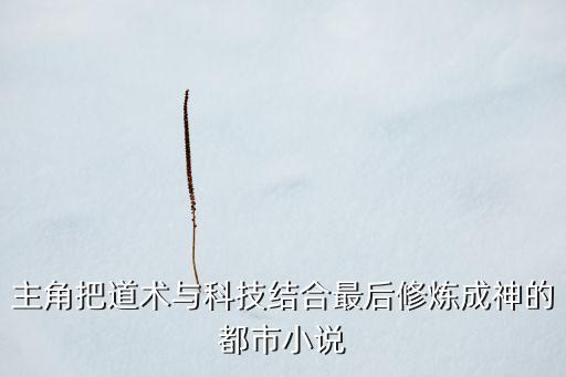 主角把道術(shù)與科技結(jié)合最后修煉成神的都市小說