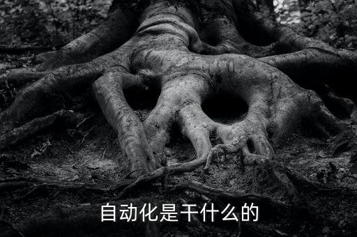 自動化是干什么的