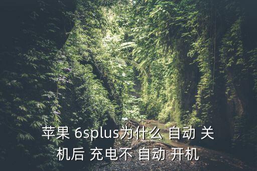 蘋(píng)果 6splus為什么 自動(dòng) 關(guān)機(jī)后 充電不 自動(dòng) 開(kāi)機(jī)
