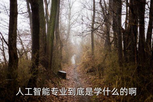 人工智能技術主要學什么，人工智能是學習什么