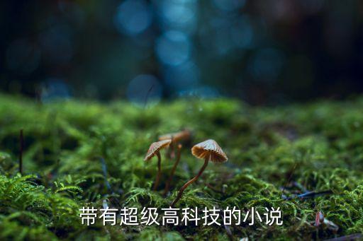 完美科技 小說，帶有超級高科技的小說