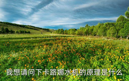 我想請(qǐng)問(wèn)下卡路娜水機(jī)的原理是什么