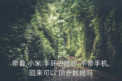 帶著 小米 手環(huán)去跑步,不帶手機,回來可以 同步數據嗎