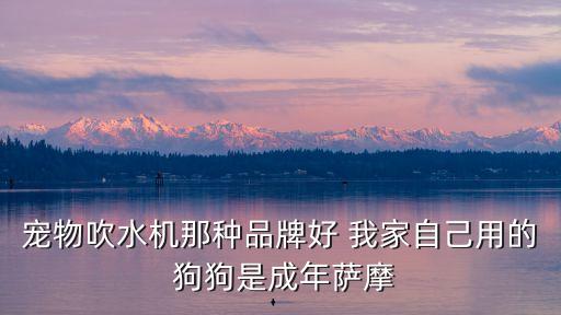 寵物吹水機(jī)那種品牌好 我家自己用的 狗狗是成年薩摩
