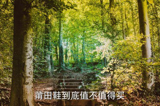 莆田鞋到底值不值得買