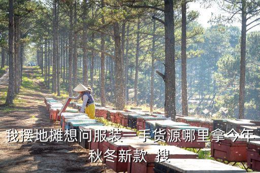 我擺地攤想問服裝一手貨源哪里拿今年秋冬新款  搜