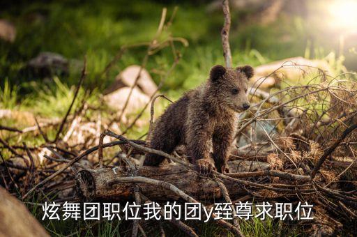 炫舞團(tuán)職位我的團(tuán)y臸尊求職位