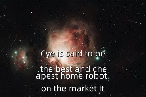 Cye is said to be the best and cheapest home robot on the market It