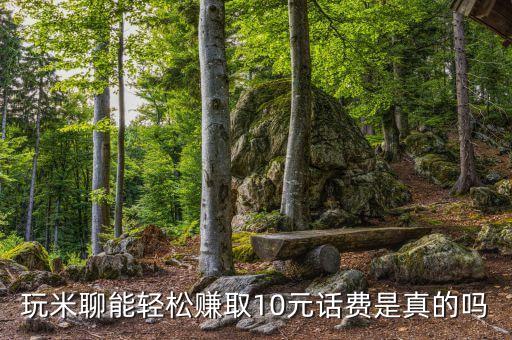 米聊接單是真的假的，玩米聊能輕松賺取10元話費(fèi)是真的嗎