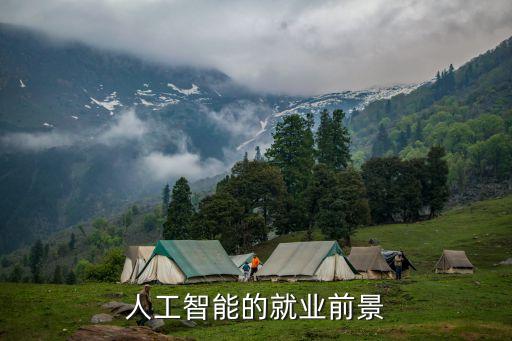 智能技術(shù)及應(yīng)用，智能技術(shù)應(yīng)用