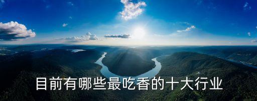 目前有哪些最吃香的十大行業(yè)