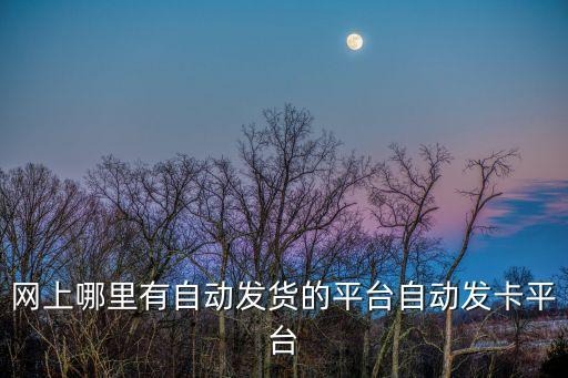 網(wǎng)上哪里有自動(dòng)發(fā)貨的平臺(tái)自動(dòng)發(fā)卡平臺(tái)