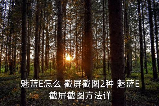  魅藍(lán)E怎么 截屏截圖2種 魅藍(lán)E 截屏截圖方法詳