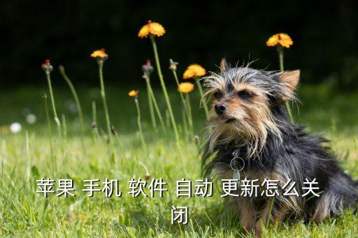 手機(jī)怎么取消軟件自動(dòng)更新,一鍵更新!這些軟件都可以!