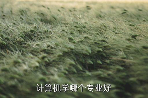 現(xiàn)在計(jì)算機(jī)學(xué)什么好就業(yè)，學(xué)計(jì)算機(jī)學(xué)什么專業(yè)好
