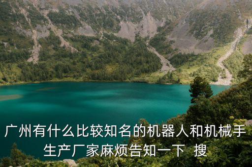 廣州有什么比較知名的機器人和機械手生產(chǎn)廠家麻煩告知一下  搜