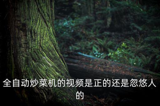 自動(dòng)炒菜機(jī)視頻播放，全自動(dòng)炒菜機(jī)的視頻是正的還是忽悠人的