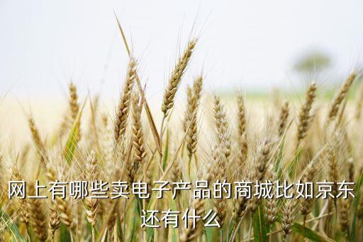 網(wǎng)上有哪些賣電子產(chǎn)品的商城比如京東還有什么