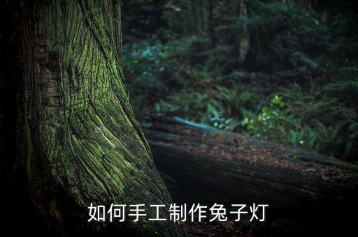 兔子燈籠手工制作視頻，怎么做兔子燈籠