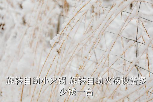 自動旋轉(zhuǎn)炒鍋，旋轉(zhuǎn)自助小火鍋 旋轉(zhuǎn)自助火鍋設(shè)備多少錢一臺