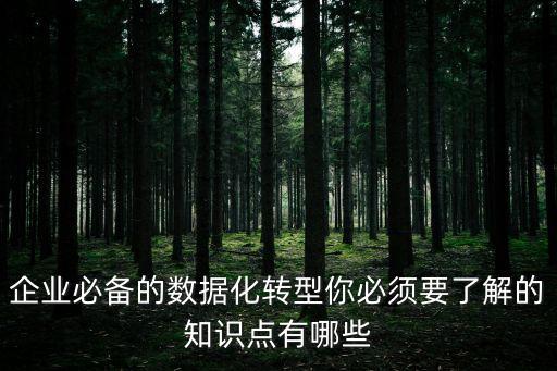 數(shù)字化轉(zhuǎn)型是什么意思，柯達(dá)公司是否應(yīng)該進(jìn)行數(shù)字化轉(zhuǎn)型意義何在
