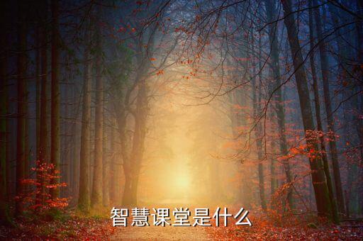 智慧課堂是什么