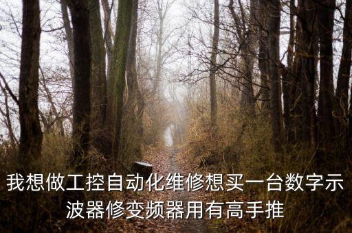我想做工控自動(dòng)化維修想買一臺(tái)數(shù)字示波器修變頻器用有高手推