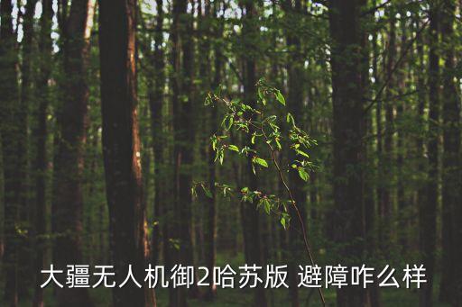 大疆御pro 自動(dòng)避障,大疆mavic無(wú)人機(jī)如何升級(jí)?