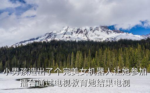 小男孩造出了個(gè)完美女機(jī)器人讓她參加擂臺(tái)通過電視教育她結(jié)果電視