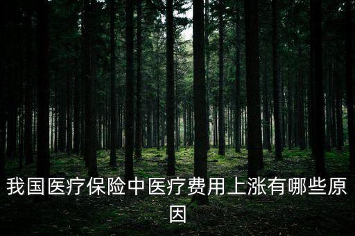 我國醫(yī)療保險(xiǎn)中醫(yī)療費(fèi)用上漲有哪些原因