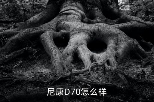 尼康D70怎么樣