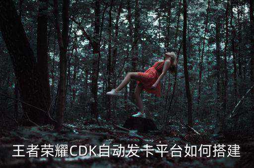 王者榮耀CDK自動(dòng)發(fā)卡平臺(tái)如何搭建