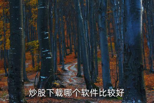 炒股下載哪個軟件比較好
