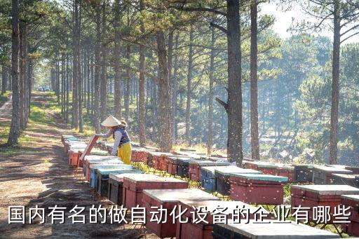 國內有名的做自動化設備的企業(yè)有哪些