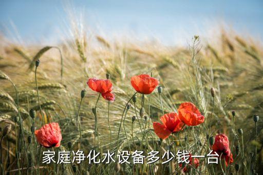 大型凈化水機器多少錢一臺，大型凈水機要多少錢