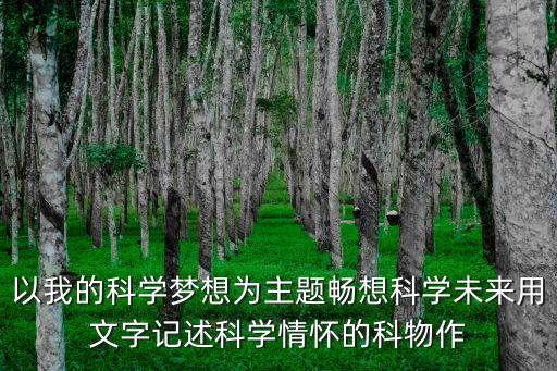 科技未來的文案，走向高科技時(shí)代這篇文章怎么寫