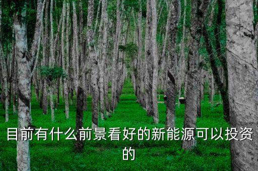 個(gè)人可投資的新能源項(xiàng)目，介紹下現(xiàn)在有什么典型的新能源項(xiàng)目