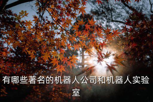 機(jī)器人實(shí)驗(yàn)室，有哪些著名的機(jī)器人公司和機(jī)器人實(shí)驗(yàn)室