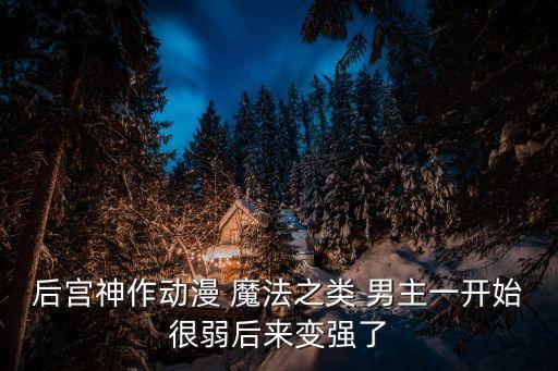 后宮神作動(dòng)漫 魔法之類 男主一開始很弱后來變強(qiáng)了
